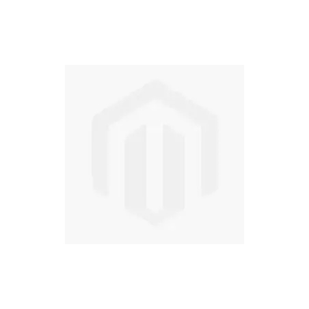 Achetez Ezdown Tailgate Damper Ford Raptor (2012-2022)au meil