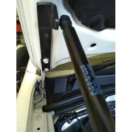 Achetez Ezdown Hood Lifter Toyota Hi Lux (2016-present)au mei