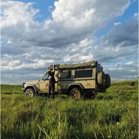 Ala di struzzo Big Country - Lato destro - Grigio-Nero