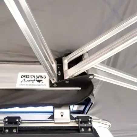 Big Country Ostrich Wing - Lato sinistro - Verde oliva - Verde oliva