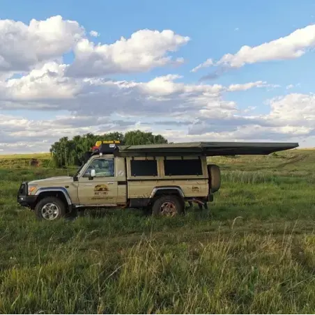 Ala di struzzo Big Country - Lato sinistro - Grigio-nero