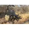 Achetez Eezi-awn K9 Camping Fold A Chair-beigeau meilleur pri