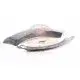 EXTENSION SUB-ASSY REAR GAURD L/H FRONT SECTION
