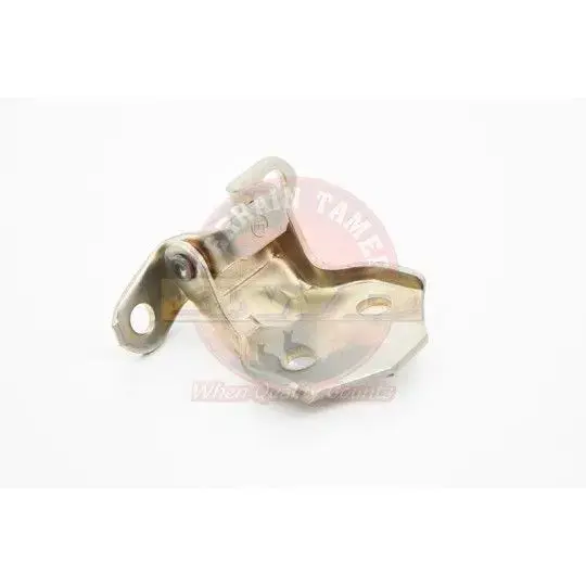 HINGE FRONT DOOR LOWER R/H