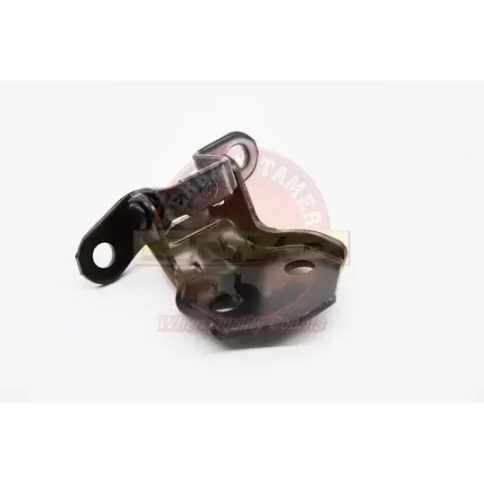 HINGE FRONT DOOR LOWER R/H