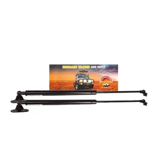 STRUT REAR DOOR PAIR