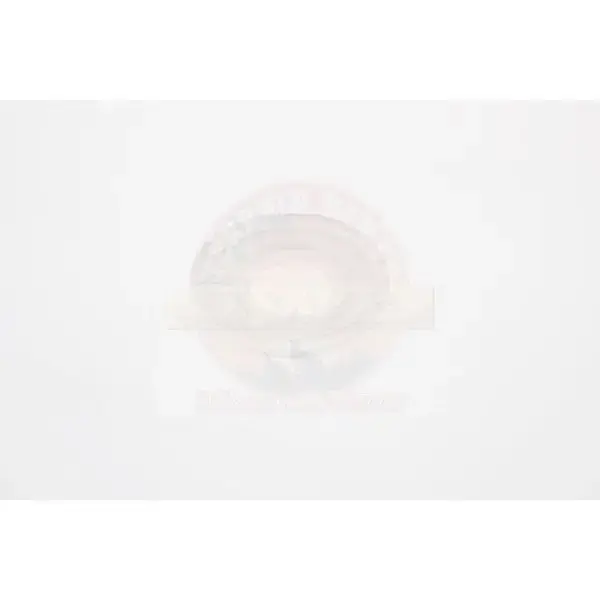 ESCUTCHEON FRONT OR REAR DOOR WINDOW REGULATOR HANDLE