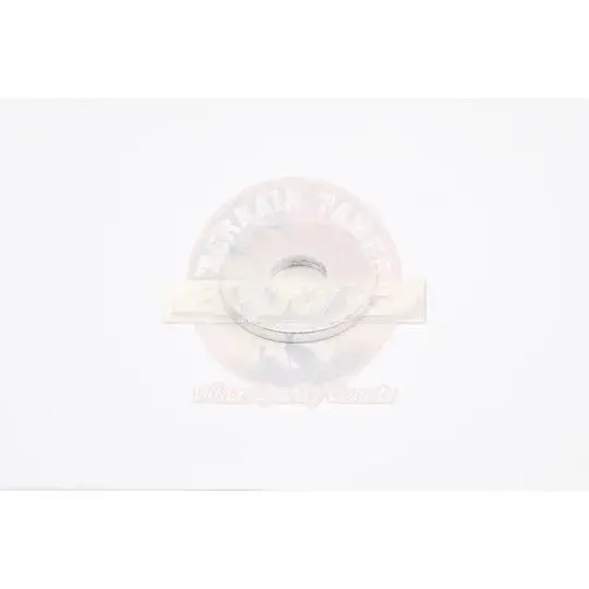 WASHER BODY MOUNT BOLT