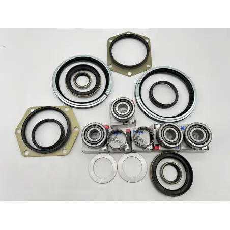 Dirty Roamer Kit joints de bols et roulements de pivots Patro