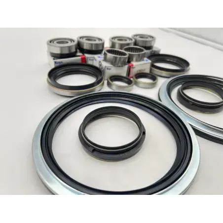 Dirty Roamer Kit joints de bols et roulements de pivots Patro