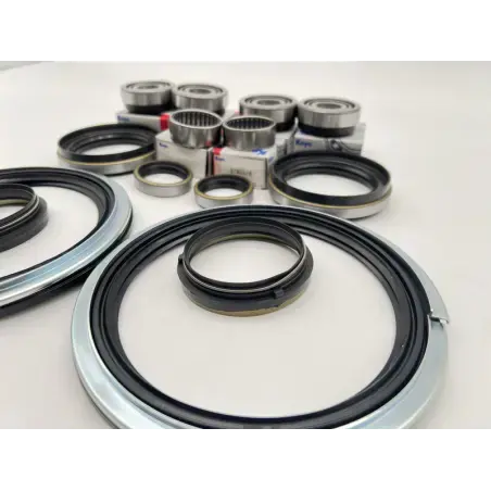 Dirty Roamer Kit joints de bols et roulements de pivots Patro