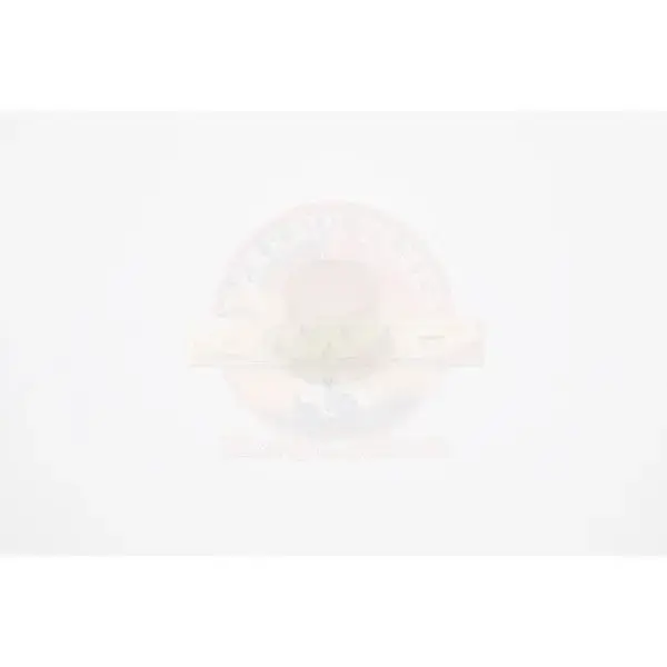 BUSH BRAKE OR CLUTCH PEDAL