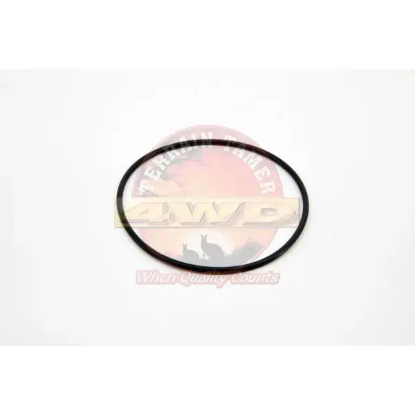 O RING WHEEL BEARING REAR