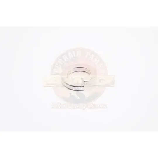 WASHER PITMAN ARM NUT