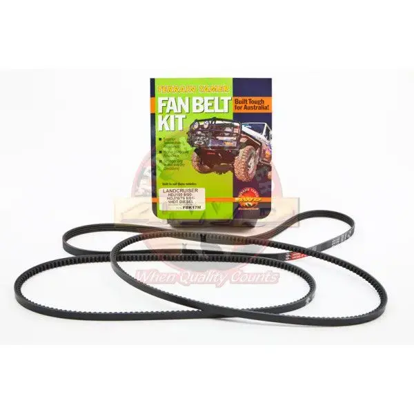 JEU COMPLET DE COURROIES D'ACCESSOIRES + CLIM (MÊME BATCH)