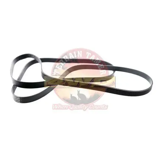 JEU COMPLET DE COURROIES D'ACCESSOIRES P5AT 3.2L