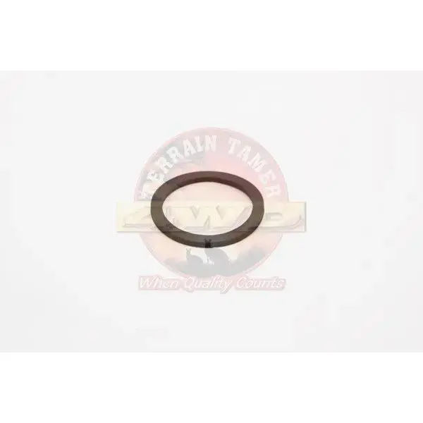 O RING THERMOSTAT