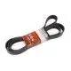 FAN BELT SERPENTINE T/T 1VDFTV