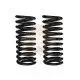 COILS REAR RAISED 40MM STANDARD LOAD NO ACCESSORIES