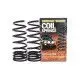 COIL SPRING PAIR RAISED 45-50MM 300-500KG