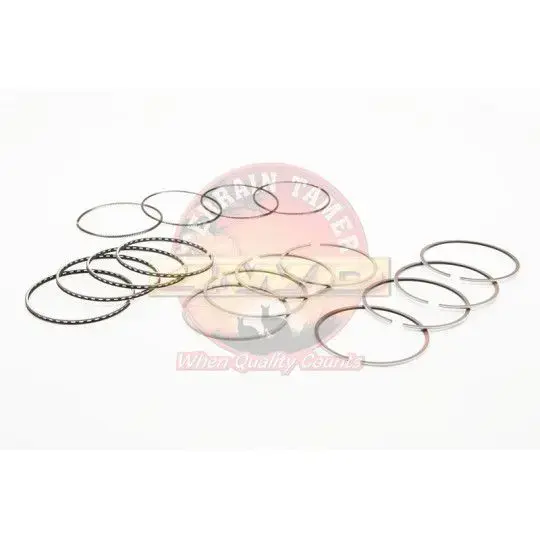 JEU DE SEGMENTS 1.00MM 2L