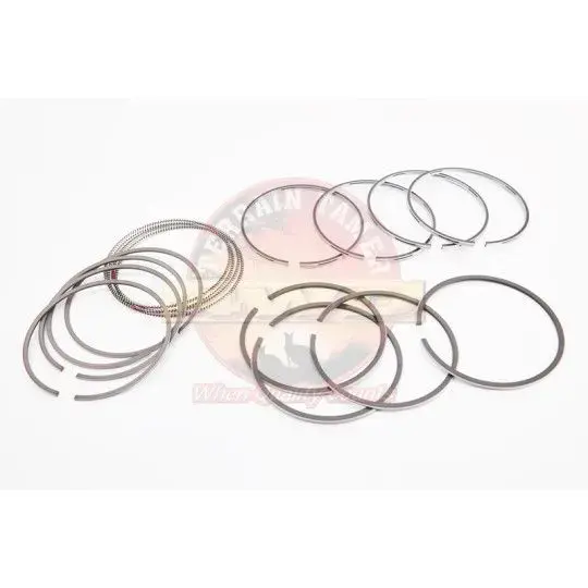 JEU DE SEGMENTS 1.0MM 3L JAPON