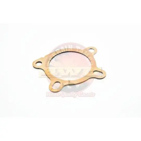 GASKET CONVERTER TO MANIFOLD