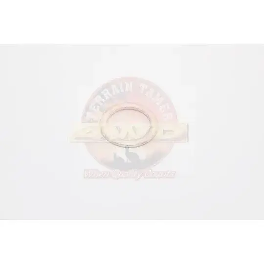 GASKET EFI FUEL FILTER