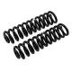 Offroad-SuperstoreCOIL SPRING F250 F 75MM - La Paire