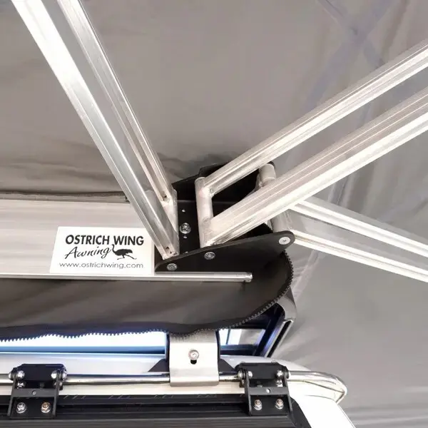 Achetez Big Country Ostrich Wing-rechterzijde-olijfgroen-zwar